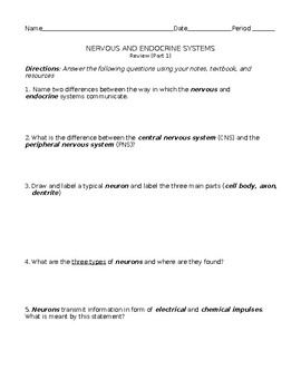 Preview of Biology: Nervous and Endocrine Systems Review Worksheet