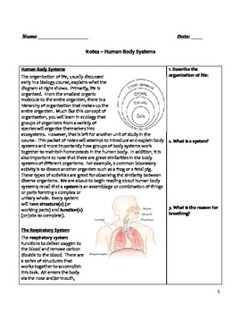 Preview of High School Biology Notes - Human Body Systems