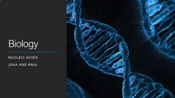 Preview of Biology: Nucleic Acids (DNA/RNA), Mutations & Biotechnology PowerPoint