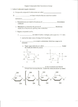 Preview of Biology: Organic Compounds & Energy, Conversion Assessments & Guided Notes
