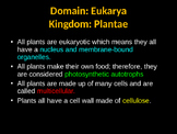Biology: Plant Structures and Systems PowerPoint!