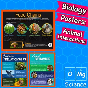 Food Chains, Symbiosis, & Animal Behavior Posters by OMg Science