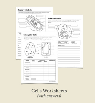 Preview of Biology - Prokaryotic & Eukaryotic Cells Worksheets