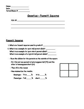 Preview of Genetics - Punnet Squares Worksheet