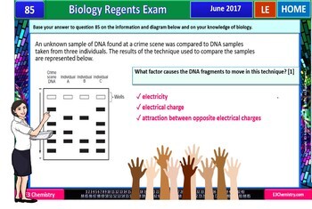 Living Environment Biology Regents - Exam Questions on PPT Slides