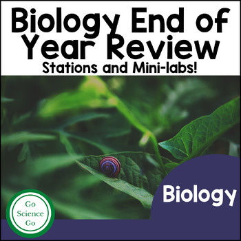Preview of Biology Review End of Year Stations | EOY | EOC