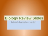 Biology Review Slides- Full year!