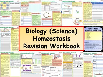 Preview of Biology (Science) Homeostasis Revision Workbook