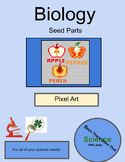 Biology: Seeds and their parts Mystery Pixel