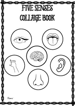 Preview of Biology Senses Collage Worksheet.