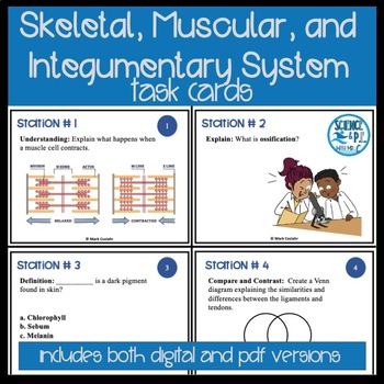 Preview of Skeletal and Muscular System Task Cards - Review Activity (Print & Digital)