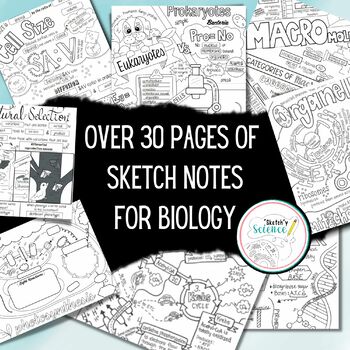 Preview of Biology Sketch Notes Bundle