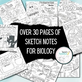 Biology Sketch Notes Bundle