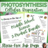 Photosynthesis & Cellular Respiration Review Activity Inde