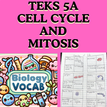 Preview of Biology TEKS 5A Cell Cycle (Mitosis) Vocab Activity (Frayer Models)