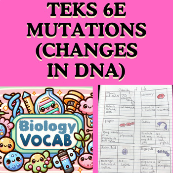 Preview of Biology TEKS 6E Mutations (Changes in DNA) Vocabulary Activity (Frayer Models)