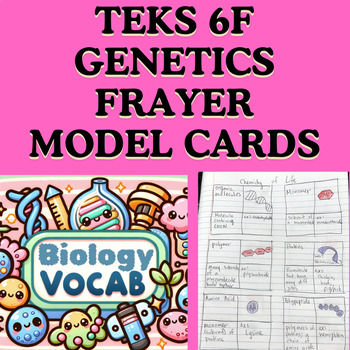 Preview of Biology TEKS 6F Genetics Vocabulary Activity (Frayer Models)