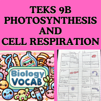 Preview of Biology TEKS 9B Photosynthesis Cell Respiration Vocab Activity (Frayer Models)
