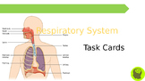 Biology Task Cards: Circulatory System