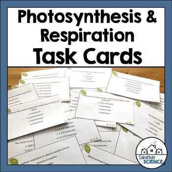 Preview of Biology Task Review: Photosynthesis and Cellular Respiration Task Cards