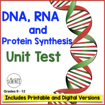 Preview of DNA RNA Protein Synthesis Test Structure Replication Transcription Translation