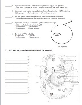 Biology Test on Microscopes and Cell Structure by Amy Brown Science
