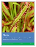 Biology: The Plant Worksheets!