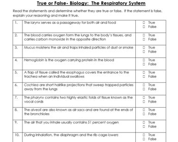 Biology: The Respiratory System True False Worksheet | TPT