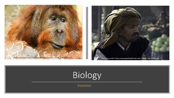 Preview of Biology: The Theory of Evolution The Complete Lesson Bundle