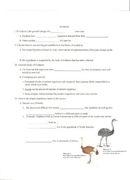 Preview of Biology: Theory of Evolution Assessments & Guided Notes