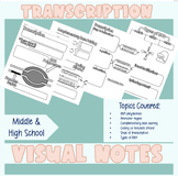 Biology | Transciption Visual Notes