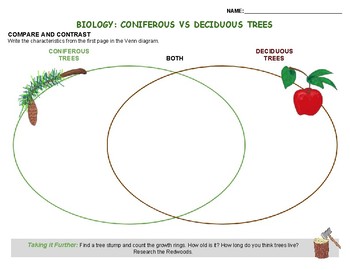 Biology: Coniferous vs Deciduous Trees by Lil' Purty Bird Prints