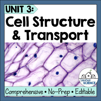 Preview of Cell Structures & Cell Transport Lessons - Cell Organelles, Diffusion & Osmosis