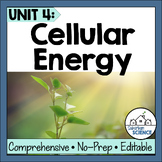 Biology Unit: Cellular Energy - ATP, Photosynthesis and Ce