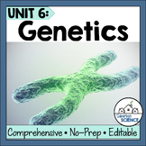 Genetics and Heredity Lesson Plans- Punnett Squares, Non-M