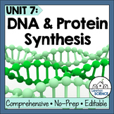 DNA Structure, DNA Replication, RNA, Protein Synthesis, & 