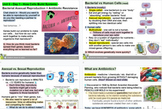 Biology Unit 6 Homeostasis - 2-3 Week Interactive Google Slide Peardecks