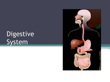Preview of Biology Unit:  Digestive Systems - Structures, Functions & Disorders