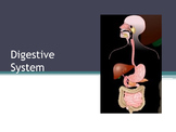 Biology Unit:  Digestive Systems - Structures, Functions &