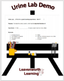 Biology Urine Lab Experiment Demonstration