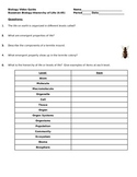 Bozeman Biology Video Guide & Key the Hierarchy of Life