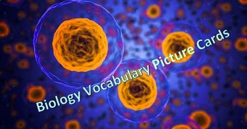 Preview of Biology Vocabulary Picture Cards