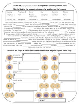 Biology Vocabulary Practice Meiosis By Get Wise With Weissert Tpt