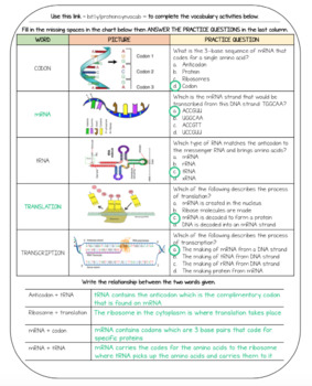 Biology Vocabulary Practice Protein Synthesis By Get Wise With