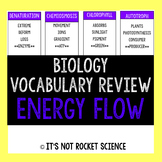 Biology Vocabulary Review Game - Energy Flow