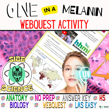 Preview of Biology Webquest | Melanin | Science | Multicultural | Google Forms | Anatomy, 9