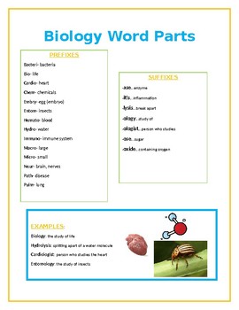 Preview of Biology Word Parts