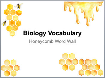 Preview of Biology Word Parts - Honeycomb Word Wall