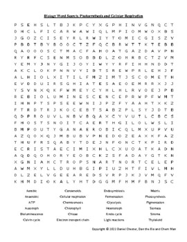 Preview of Biology Word Search - Photosynthesis and Cellular Respiration