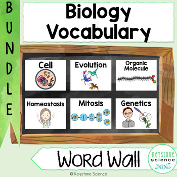 Preview of Biology Word Wall BUNDLE Prefixes, Suffixes Cells, Genetics, Evolution, Ecology